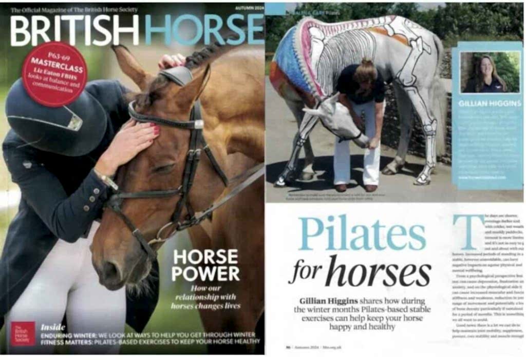 Pilates for horses